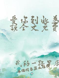 爱你到此为止小说全文免费阅读