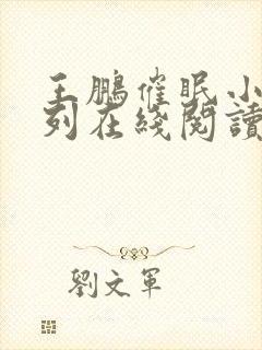 王鹏催眠小说系列在线阅读