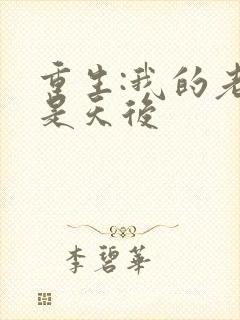 重生:我的老婆是天后