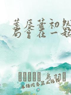 叶辰萧初然大结局会在一起吗