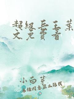 超级兵王叶谦全文免费看