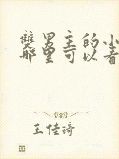 双男主的小说在哪里可以看