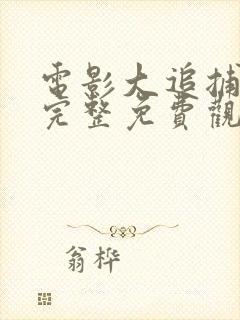 电影大追捕在线完整免费观看国语