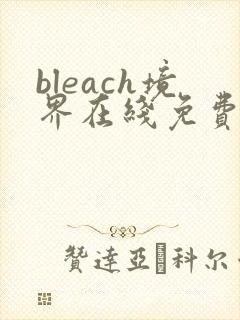 bleach境界在线免费观看全集