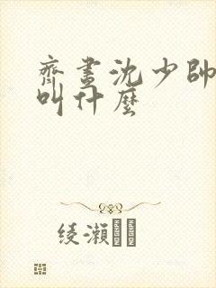 齐昼沈少帅短剧叫什么