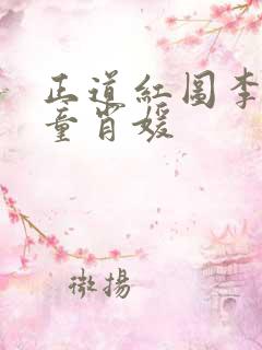 正道红图李初年童肖媛