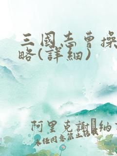 三国志曹操传攻略(详细)