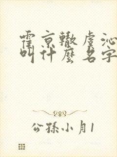 霍京辙虞沁小说叫什么名字