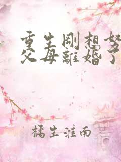 重生刚想努力,父母离婚了短剧