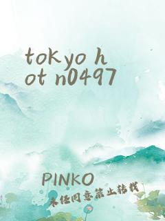 tokyo hot n0497