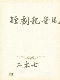 短剧龙爸风云