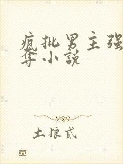 疯批男主强取豪夺小说