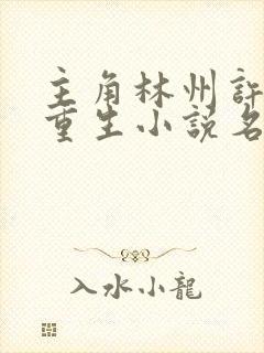 主角林州许念初重生小说名字