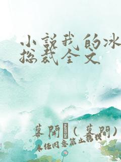 小说我的冰山女总裁全文