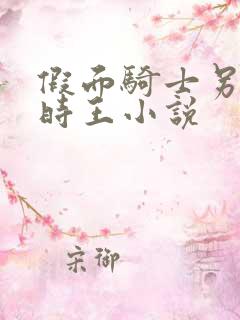 假面骑士另一个时王小说