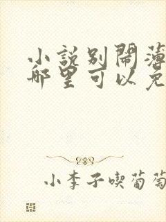 小说别闹薄先生哪里可以免费阅读