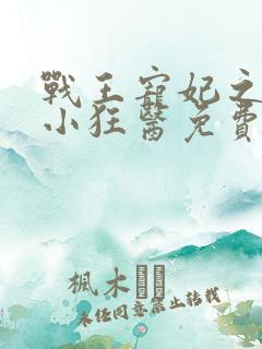 战王宠妃之倾世小狂医免费阅读全文