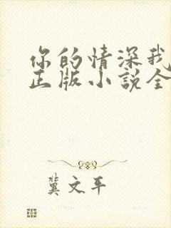 你的情深我不配正版小说全文免费阅读