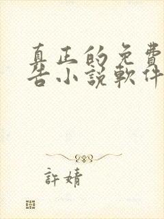 真正的免费无广告小说软件