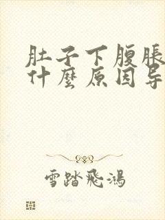 肚子下腹胀气是什么原因导致的