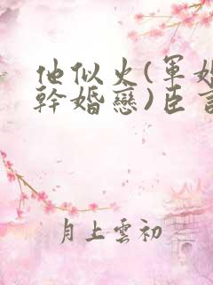 他似火(军婚高干婚恋)臣言最新章节