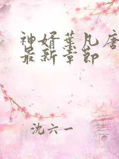 神婿叶凡唐若雪最新章节