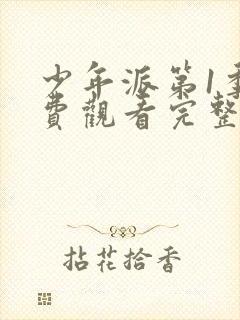 少年派第1季免费观看完整版