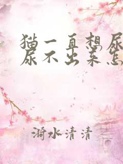 猫一直想尿却但尿不出来怎么办