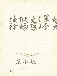 他似火(军婚高干婚恋)全文免费阅读