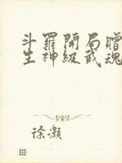 斗罗开局赠送双生神级武魂