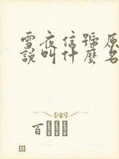 雪夜信号原著小说叫什么名字