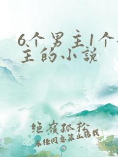 6个男主1个女主的小说