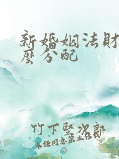 新婚姻法财产怎么分配