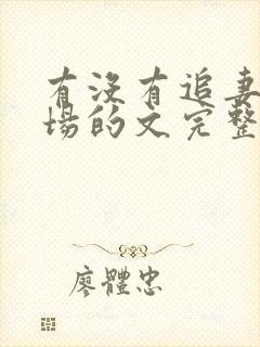 有没有追妻火葬场的文完整版