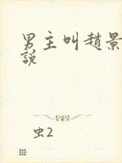 男主叫赵景的小说