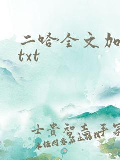 二哈全文加番外txt