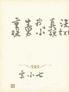 重生我真没想当暖男小说txt