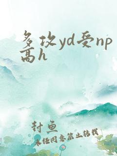 多攻yd受np高h
