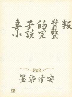 妻子的背叛犽一小说完整