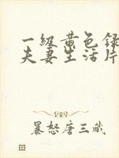 一级黄色录像片夫妻生活片