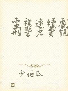 电视连续剧我是刑警免费观看