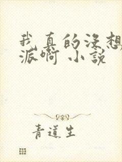 我真的没想当反派啊 小说