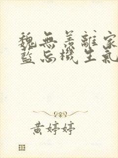 魏无羡离家出走蓝忘机生气