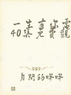 一生有你电视剧40集免费观看