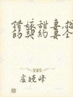 错嫁甜妻,总裁的契约妻全文阅读