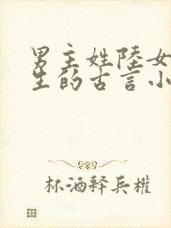 男主姓陆女主重生的古言小说