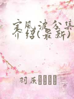 定风波分集剧情介绍(最新)