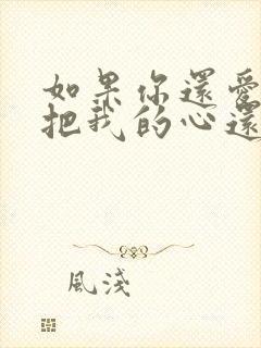 如果你还爱我就把我的心还我是什么歌