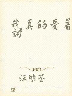 我真的爱着你歌词