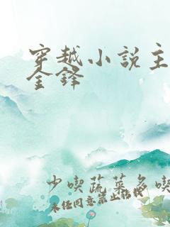 穿越小说主人公金锋